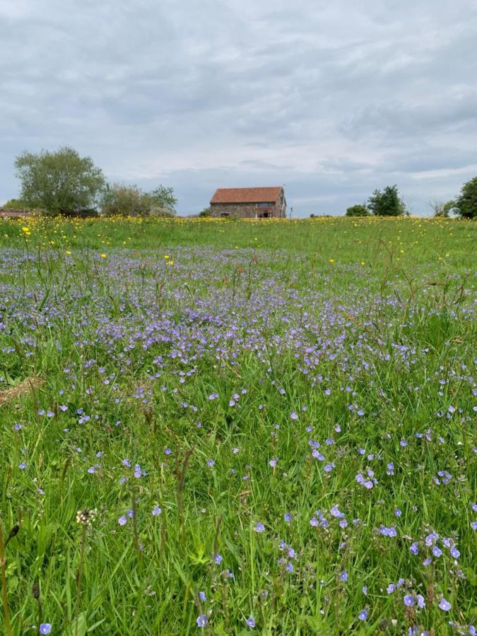 Vila Edge Barn Woolaston Exteriér fotografie